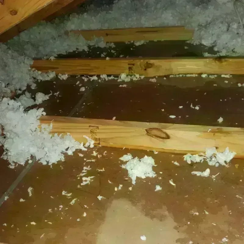 Attic Water Damage in Senoia, GA